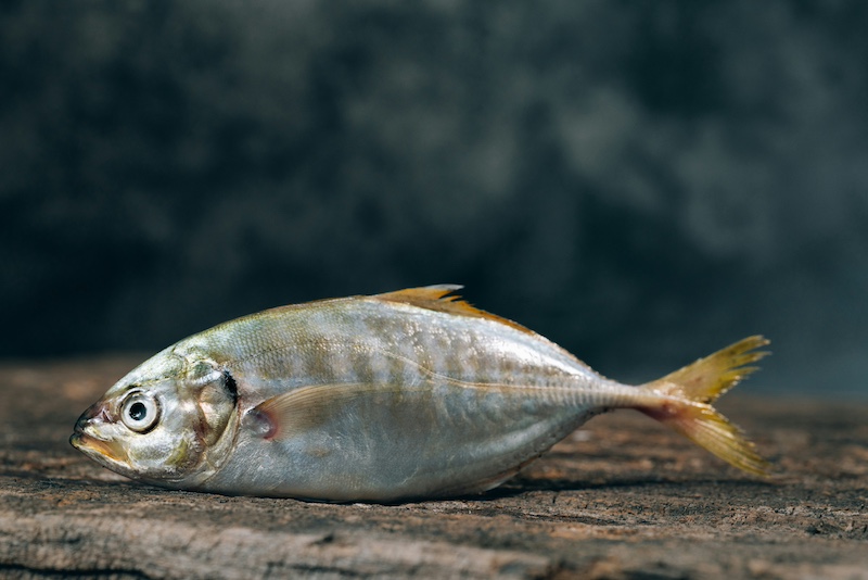 Beware of Oxidized Omega 3