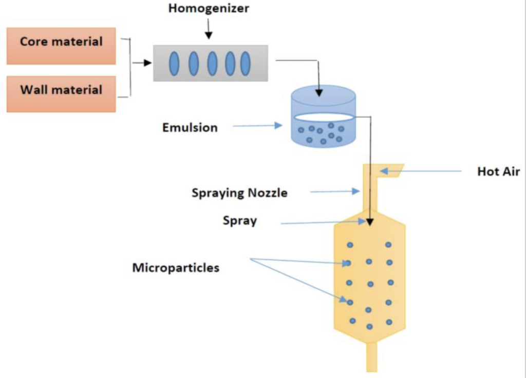 micro encapsulation process liposomal powders